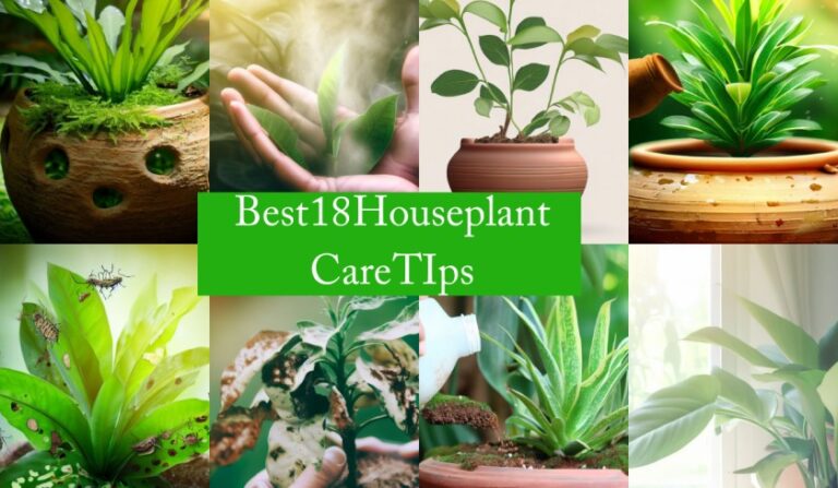 Top 18 Best Houseplant Care Tips (2023)