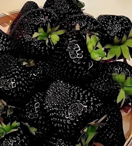 Are black strawberries real
