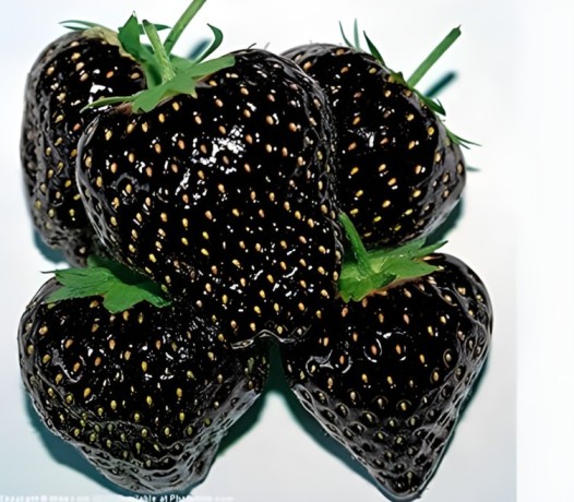 Are black strawberries real